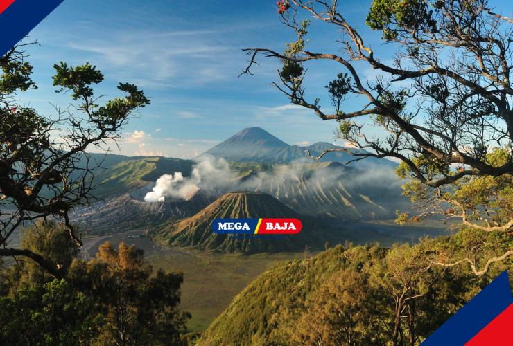 KEINDAHAN BROMO : KEKUATAN BAJA DI PUNCAK JAWA PADA PENGINAPAN DENGAN DEKORASI ANGGREK