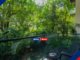 Taman Rumah Desa : Sentuhan Alam Modern Dalam Balutan Estetika