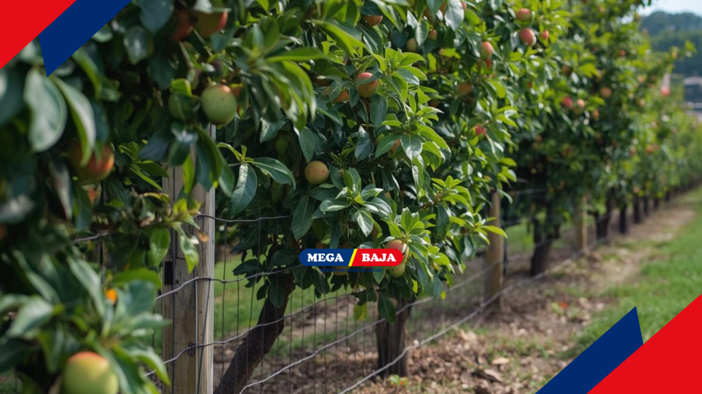 Struktur Pagar Kuat Pendukung Tanaman Produktif