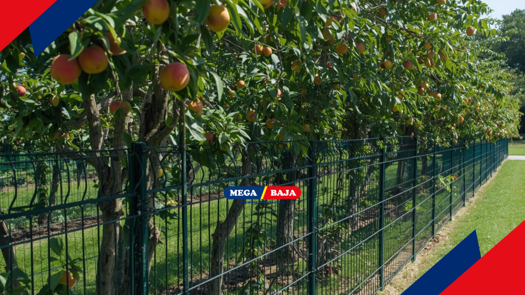 Memasukkan unsur kebun buah produktif ke dalam desain rumah modern adalah langkah visioner