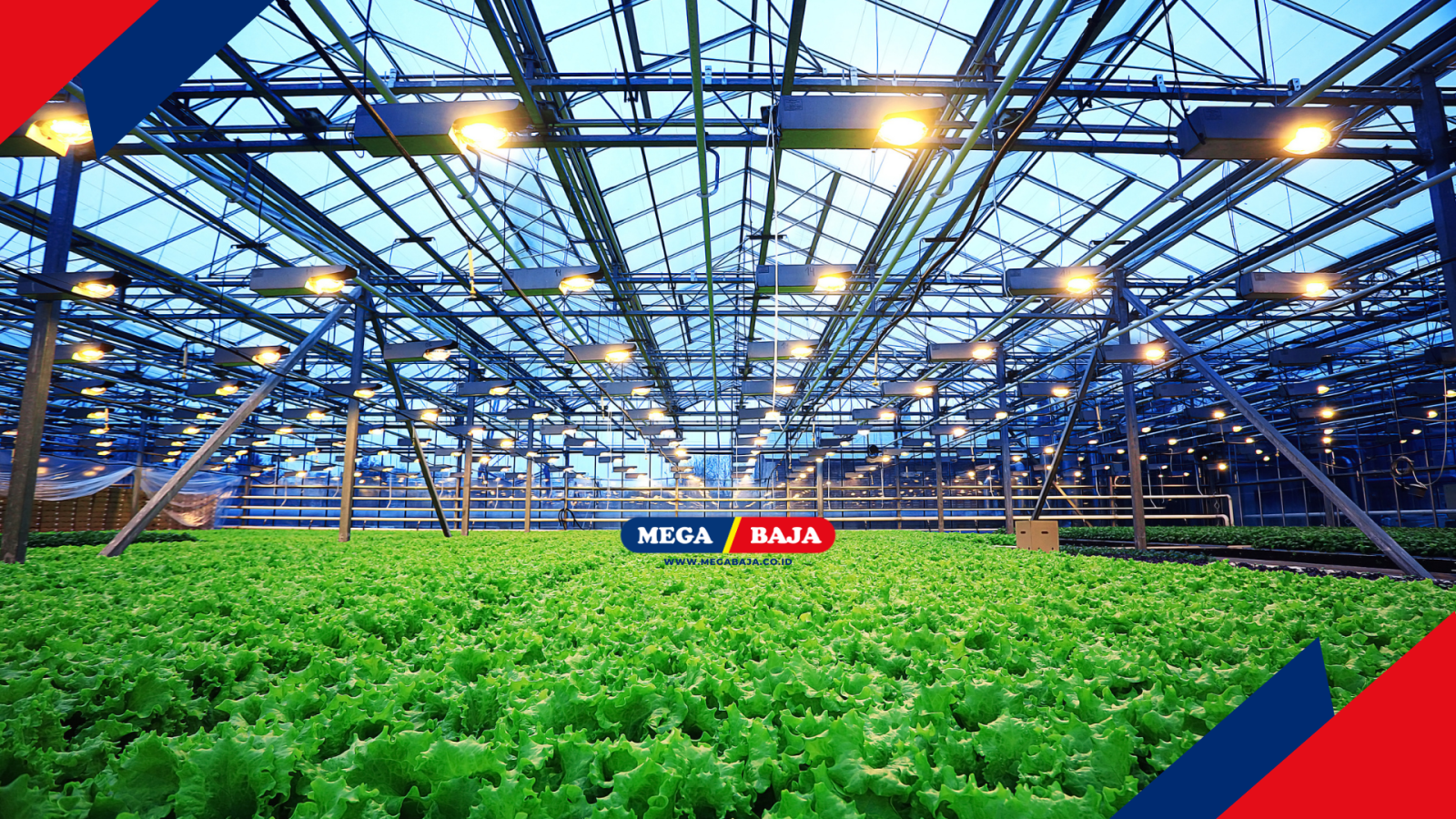 STRUKTUR LAS PERKEBUNAN : BAGAIMANA MEMBANGUN INFRASTRUKTUR AGRIBISNIS YANG TANGGUH?