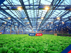 STRUKTUR LAS PERKEBUNAN : BAGAIMANA MEMBANGUN INFRASTRUKTUR AGRIBISNIS YANG TANGGUH?