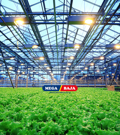 STRUKTUR LAS PERKEBUNAN : BAGAIMANA MEMBANGUN INFRASTRUKTUR AGRIBISNIS YANG TANGGUH?