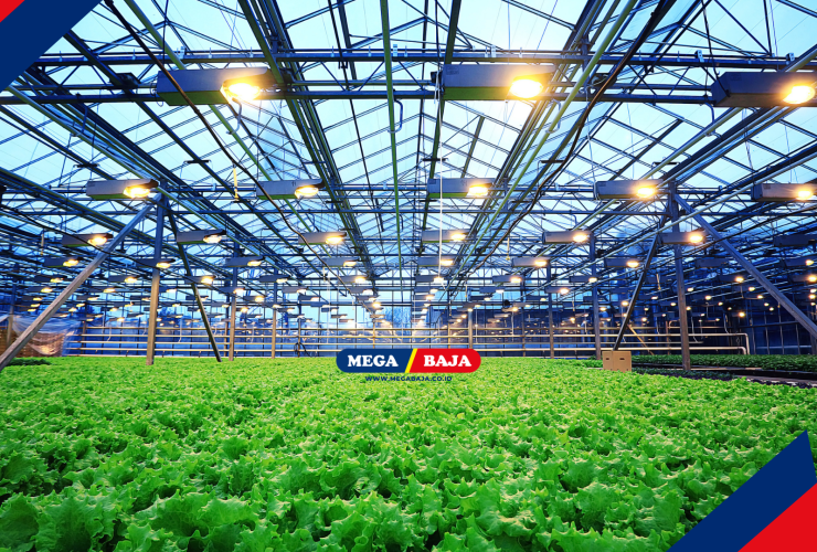 STRUKTUR LAS PERKEBUNAN : BAGAIMANA MEMBANGUN INFRASTRUKTUR AGRIBISNIS YANG TANGGUH?