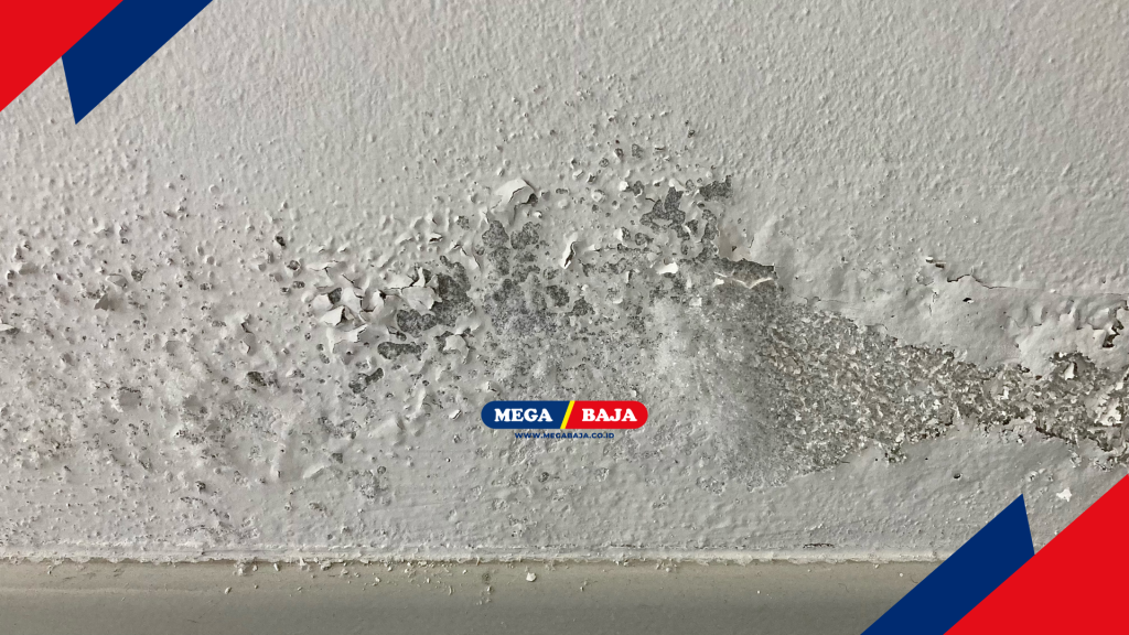 Perlindunagan Permukaan Dinding dari Risiko Karat dan Jamur