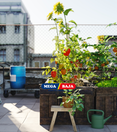 BERKEBUN DI RUMAH : BAGAIMANA STRUKTUR ATAP YANG TEPAT?