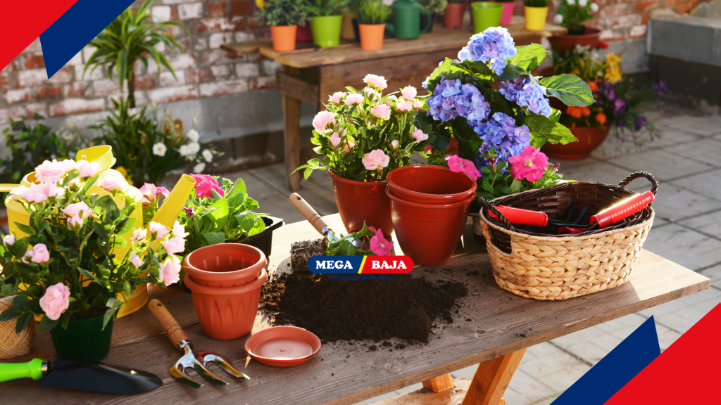 Berkebun di Dak