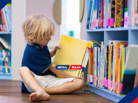 PERPUSTAKAAN ANAK : BAGAIMANA CARA MEMBANGUNNYA DI RUMAH?