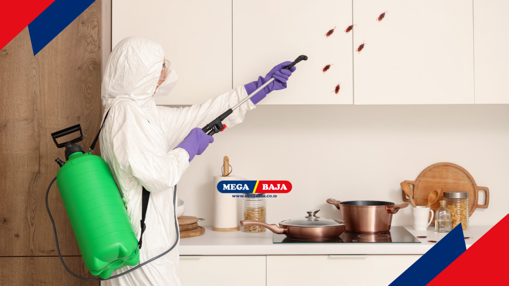 Ancaman Struktural Akibat Invasi Hama di Area Dapur