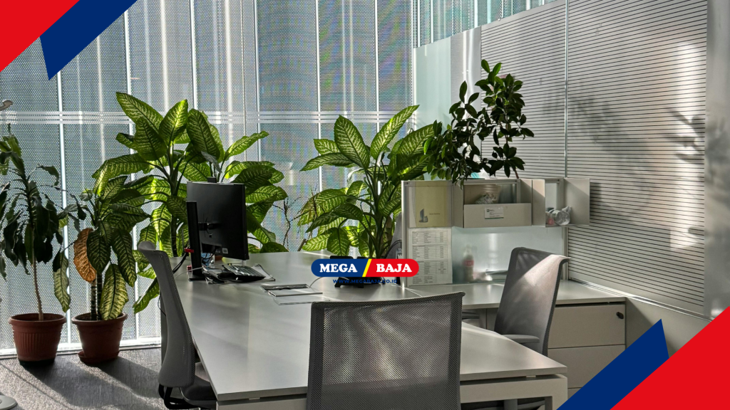 kantor modern kini menggunakan tanaman untuk menciptakan suasana ruangan yang lebih hidup