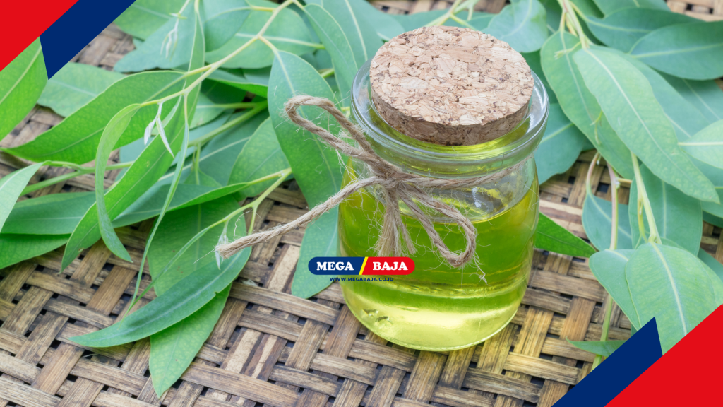minyak kayu putih