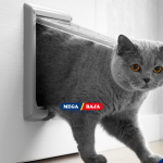 PINTU KUCING PRAKTIS : BAGAIMANA MEMILIH AKSES HEWAN DI RUMAH ANDA?
