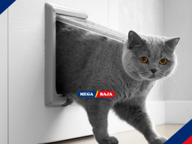 PINTU KUCING PRAKTIS : BAGAIMANA MEMILIH AKSES HEWAN DI RUMAH ANDA?
