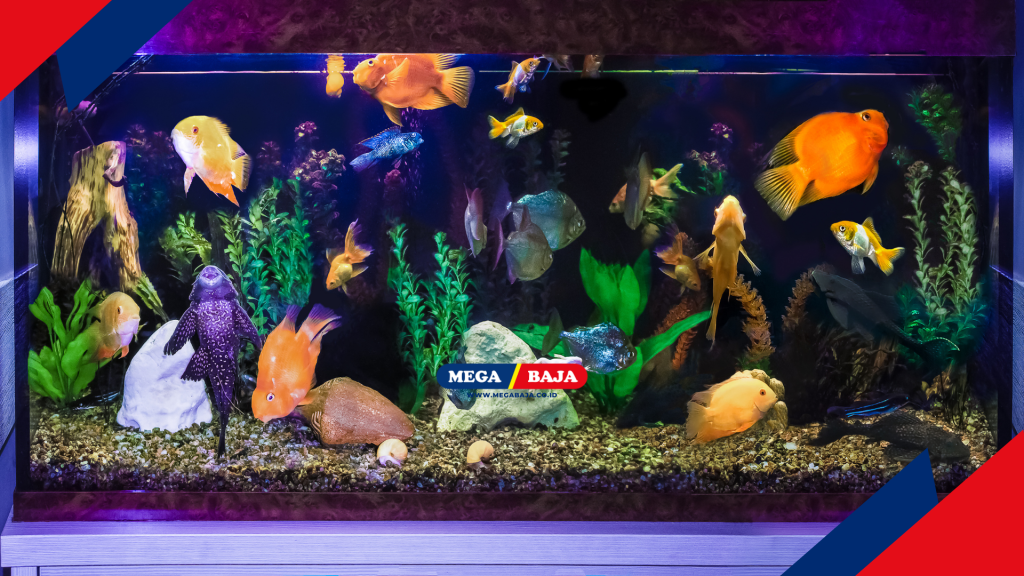 Kolam Ikan Saat Sistem Oksigen Mekanis Berhenti