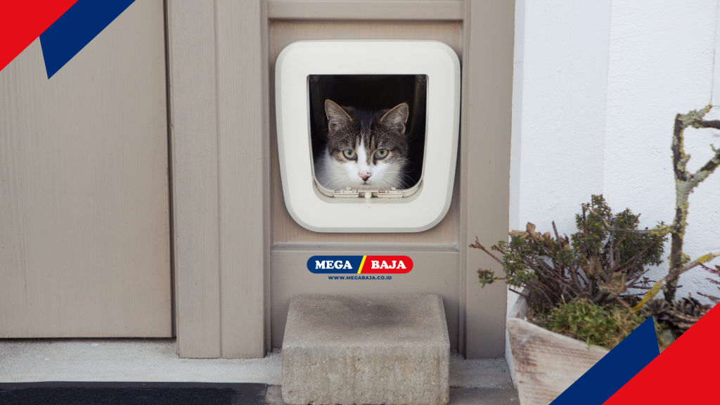 Pintu Kucing