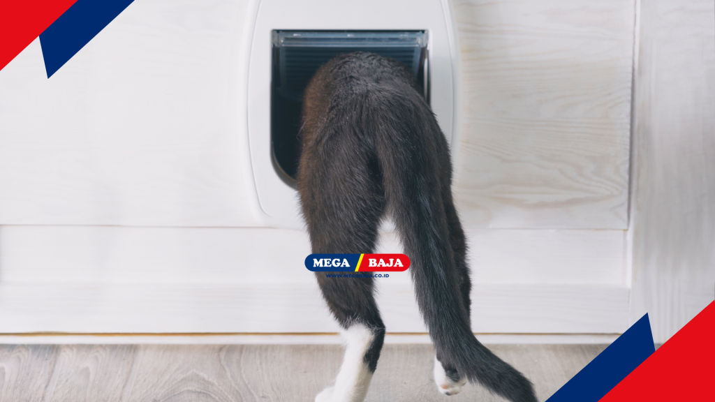 lewat pintunya ; kucing mau masuk lagi ke dalam