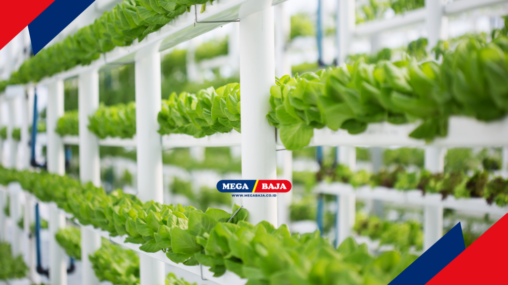 Mengapa Keberlanjutan dengan Urban Farming Menjadi Investasi Masa Depan?