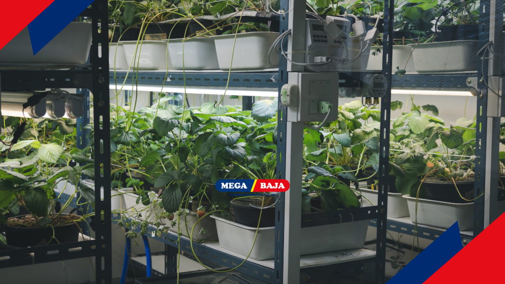 Di Mana Menemukan Material Konstruksi Terbaik untuk Urban Farming ?