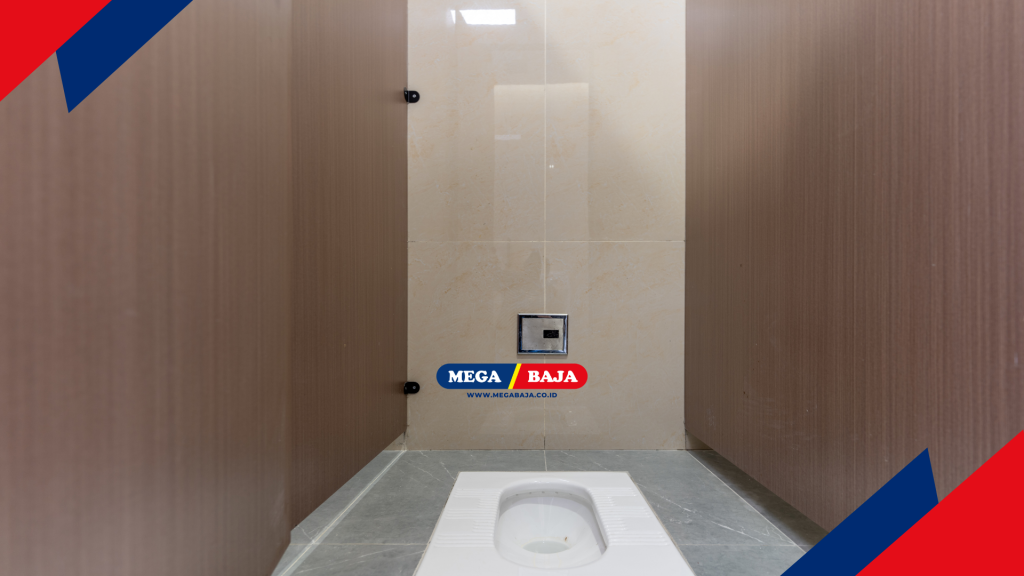 Pentingnya Toilet Jongkok Sebagai Opsi