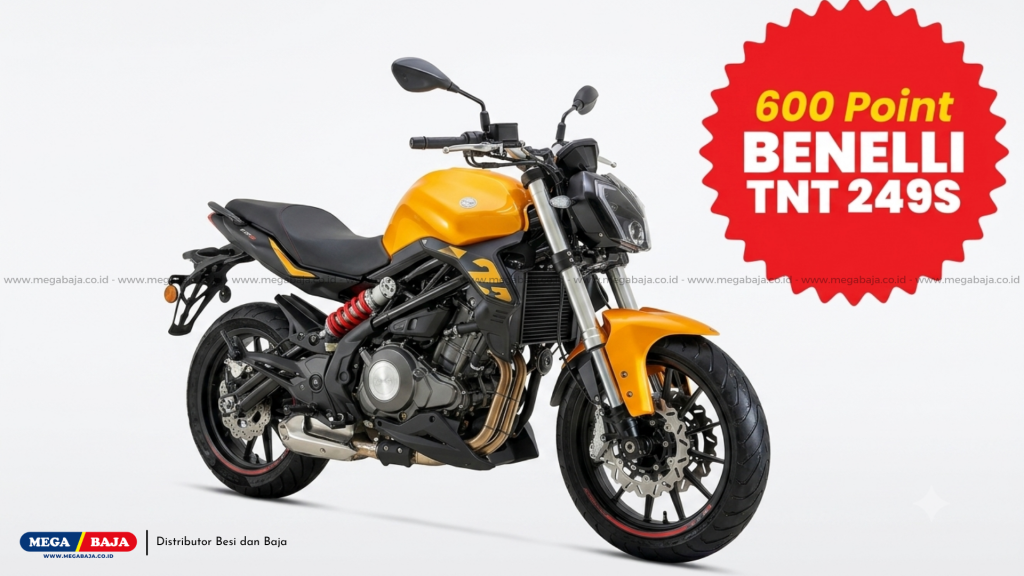 Benelli TNT 249s