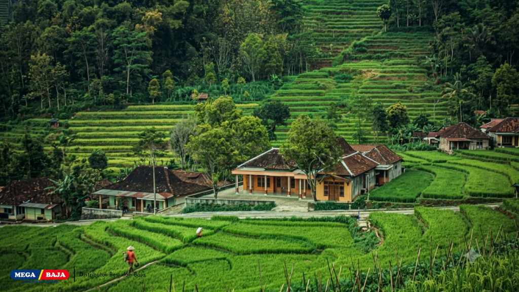 Memahami Karakteristik Struktur Tanah Bekas Sawah