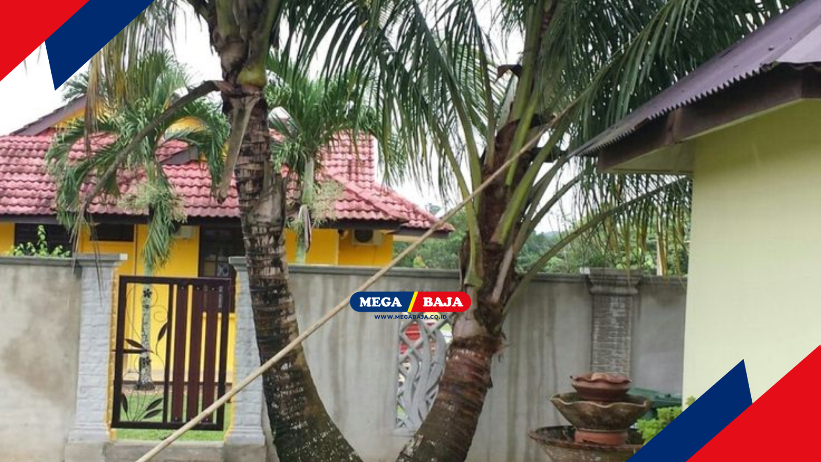 Pohon Kelapa dekat Rumah dan Risiko Akar Pada Fondasi Kamar Mandi Anda