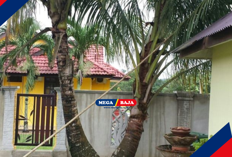 Pohon Kelapa dekat Rumah dan Risiko Akar Pada Fondasi Kamar Mandi Anda