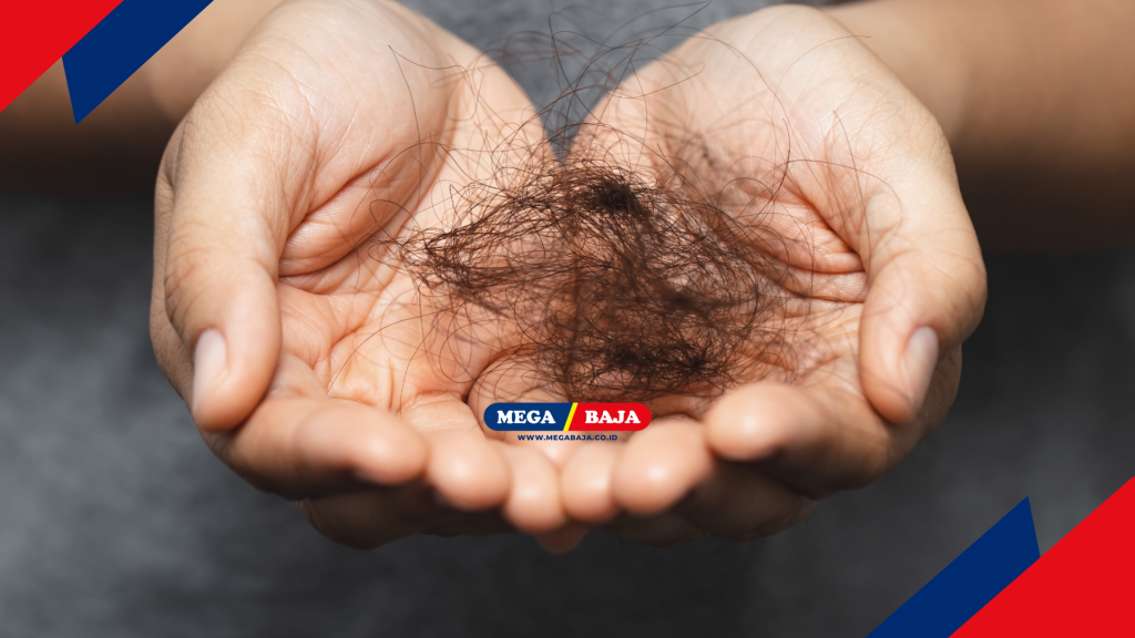 pentingnya membersihkan rambut di kamar