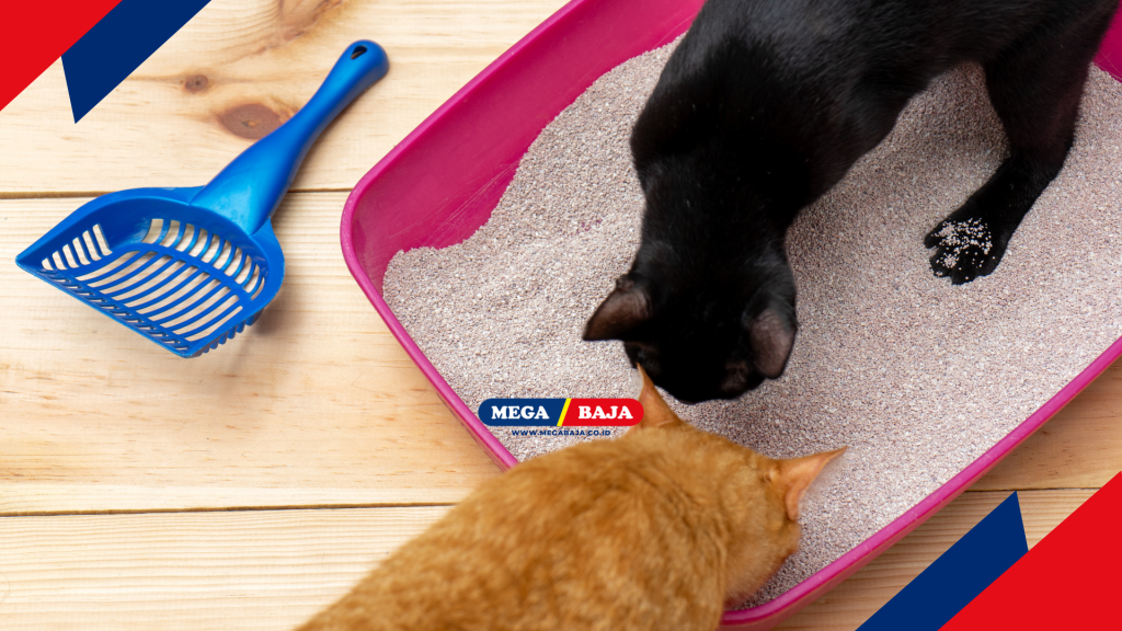 litter box (kotak pasir) dan ruang istirahat khusus hewan