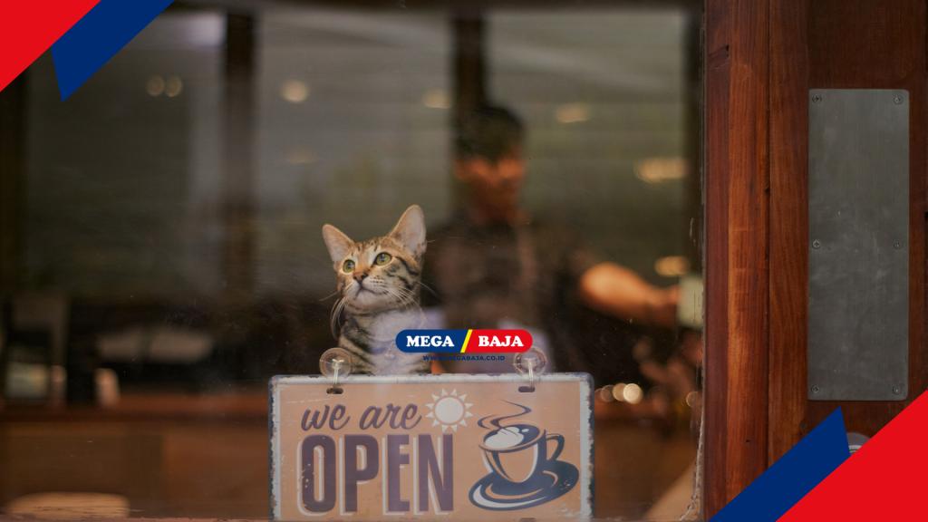 Sebuah Pemandangan di Cat Cafe