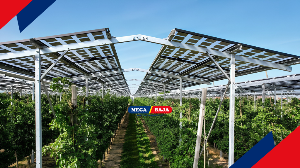 Baja struktural di Agri Photovoltaic - Pinterest