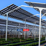 Inovasi Agri-Photovoltaic : Hubungannya dengan Konstruksi Ramah Lingkungan (Inspired : IPB News)