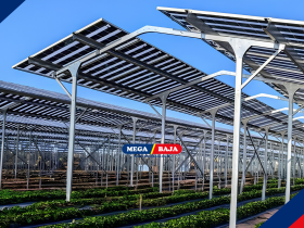 Inovasi Agri-Photovoltaic : Hubungannya dengan Konstruksi Ramah Lingkungan (Inspired : IPB News)