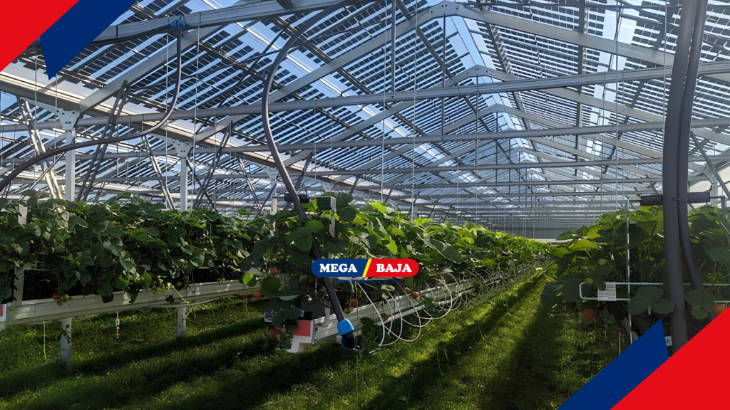 Memahami Konsep Dasar Sistem Konstruksi Agri-Photovoltaic - Pinterest