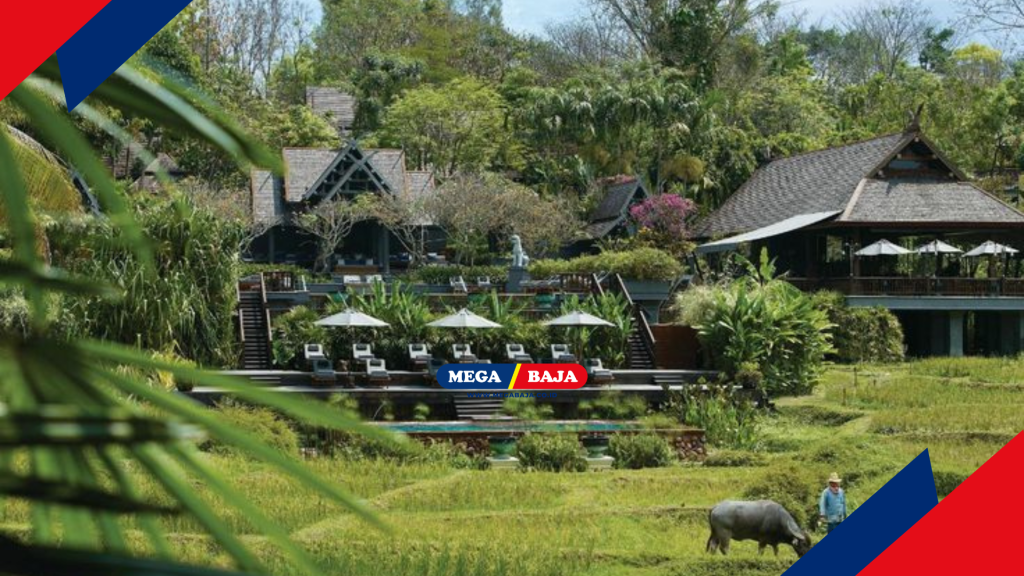 Four Seasons Resort Chiang Mai - Pinterest