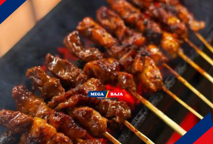 Pentingnya memahami Risiko Tusuk Sate : Solusi Pengelolaan Limbah di Rumah