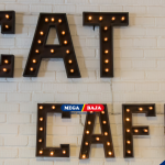 Desain Kafe Kucing Modern : Solusi Ruang Komersial Estetik Efisien