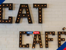 Desain Kafe Kucing Modern : Solusi Ruang Komersial Estetik Efisien