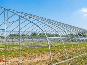 Besi Pipa Galvanis: Solusi Infrastruktur Pertanian Modern - Ketahanan Pangan !