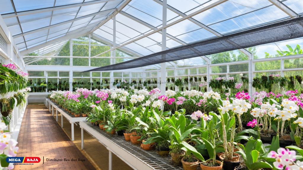 Peran Material Polycarbonate Pada Greenhouse Anggrek Hias Modern