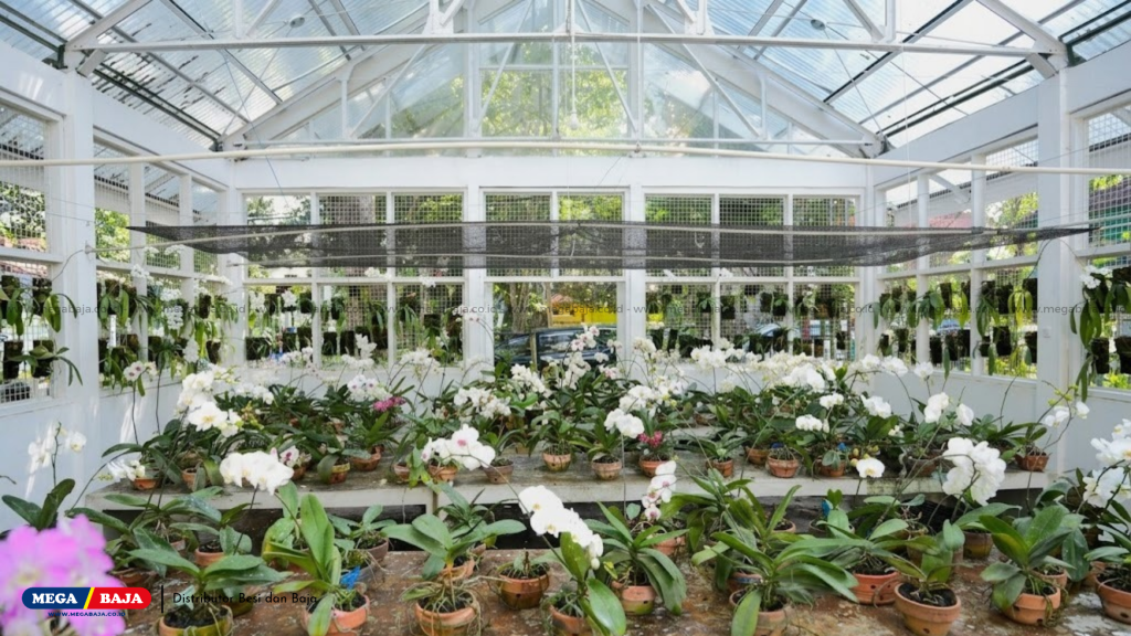 Spesifikasi Teknis Material Polycarbonate Pelindung Greenhouse Tanaman Anggrek Hias